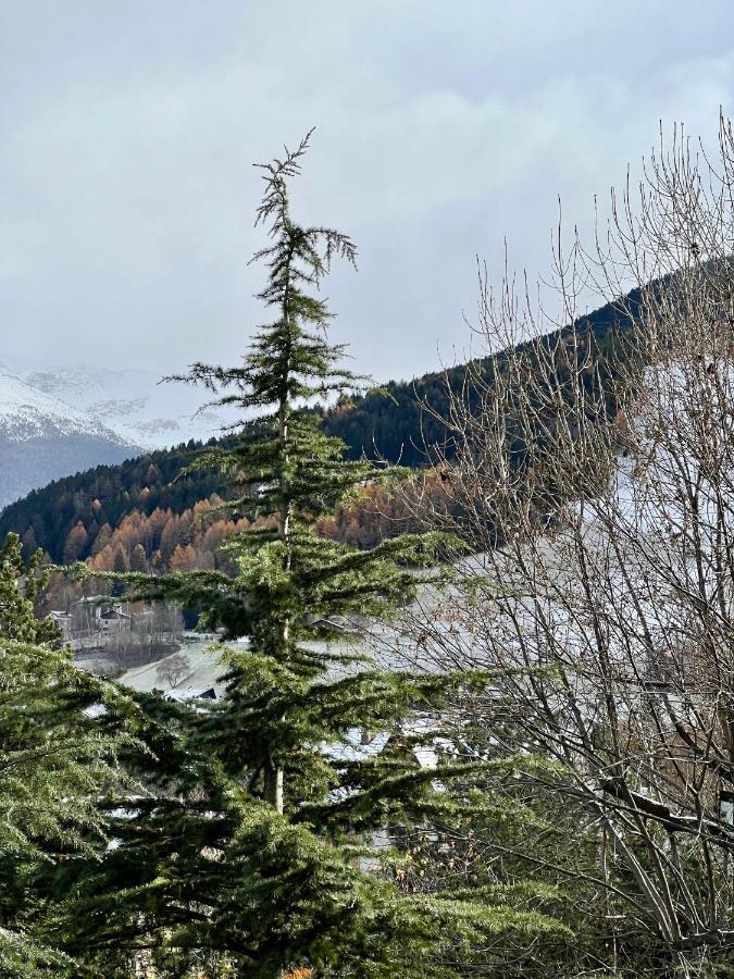Il Pettirosso - Casa Vacanze Bormio Ngoại thất bức ảnh